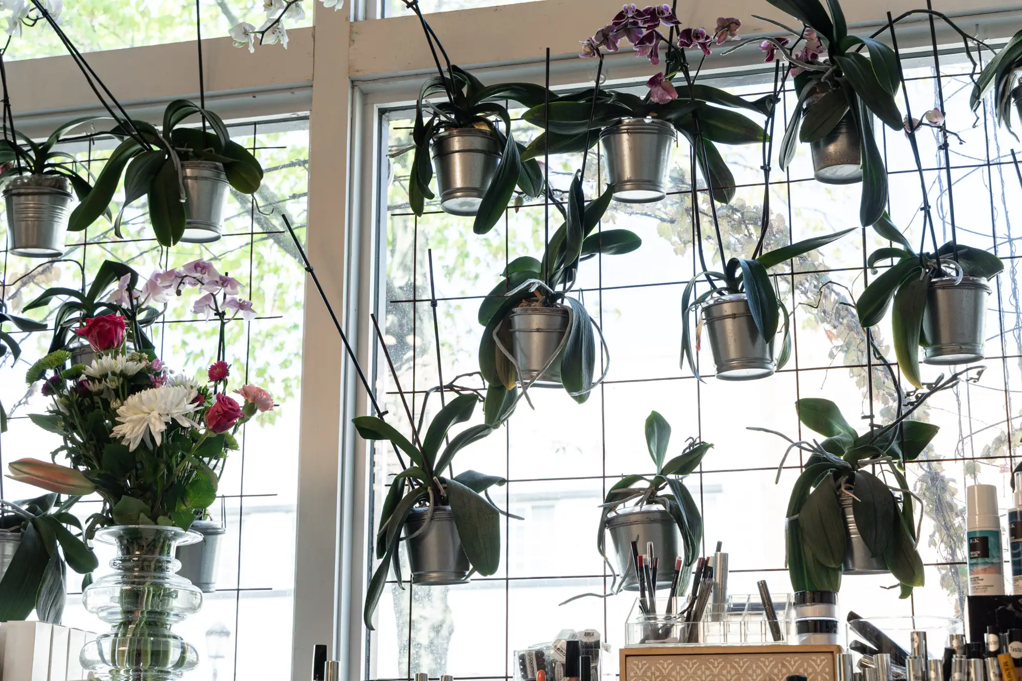 Potted orchids in silver buckets hang across a bright window with a wire grid. Below, a glass vase holds a bouquet of mixed flowers, including white chrysanthemums and red roses.